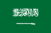 DL/DTL Disposable Vape POD Shisha Saudi Arabic